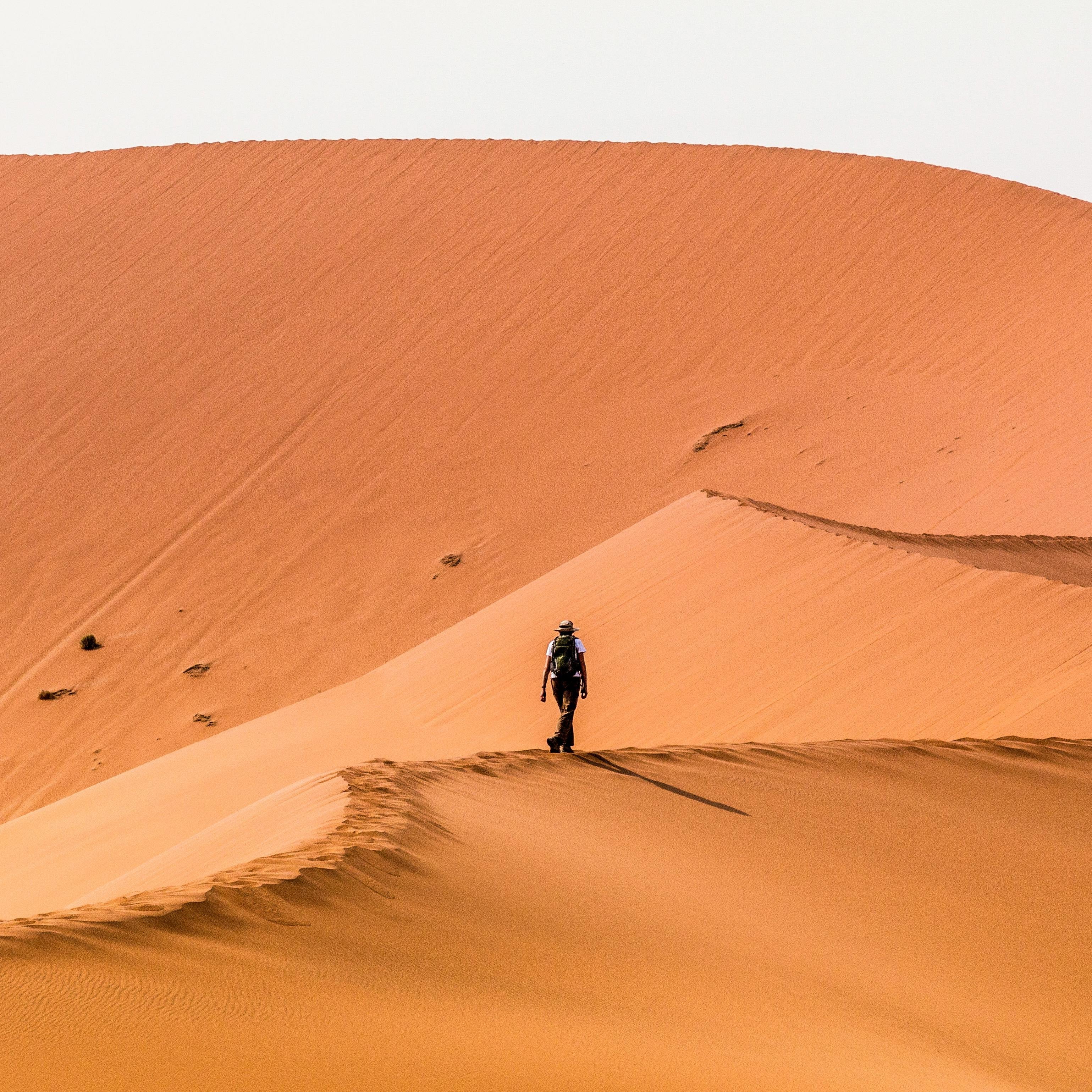 Person walking on a sand dune in a desert landscape